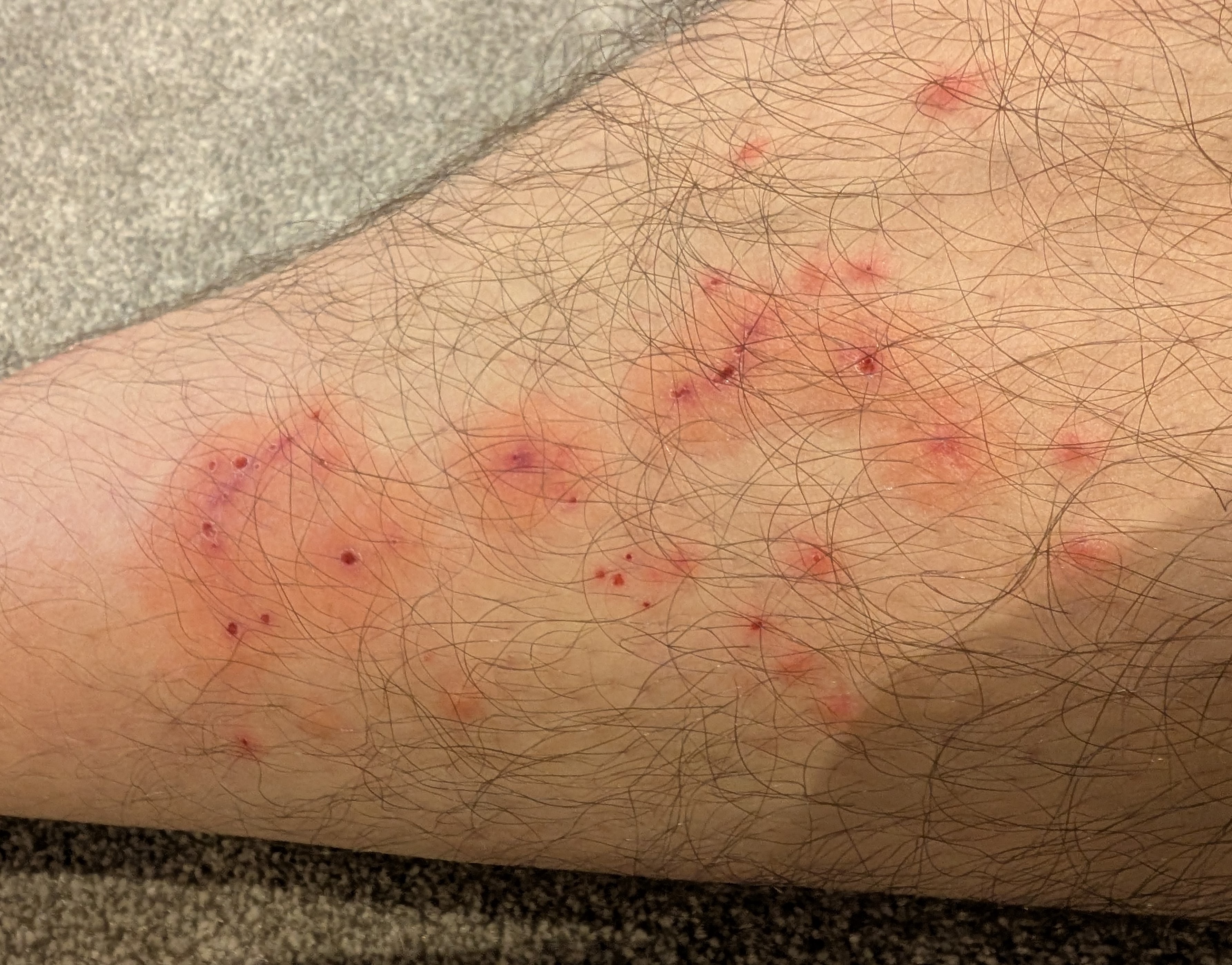 Corbigoe Hotel London Pimlico